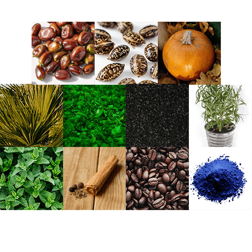 Collage of natural ingredients used in Mane Elixir Blend including castor oil, rosemary, peppermint, caffeine, and others.